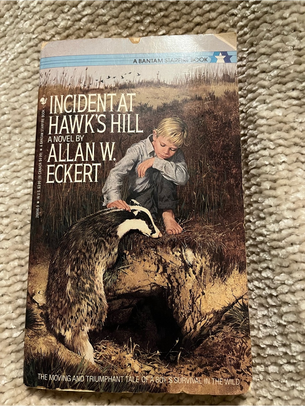 Incident at Hawk's Hill Vintage Book by Allan W. Eckert